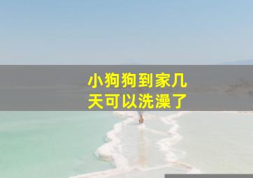 小狗狗到家几天可以洗澡了