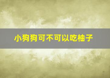 小狗狗可不可以吃柚子