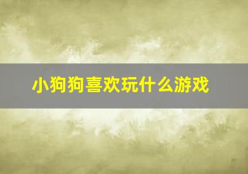 小狗狗喜欢玩什么游戏