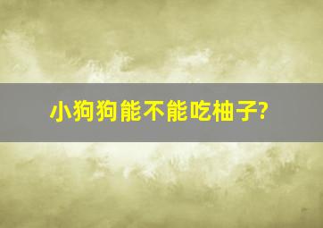 小狗狗能不能吃柚子?