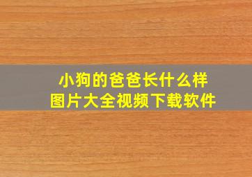 小狗的爸爸长什么样图片大全视频下载软件