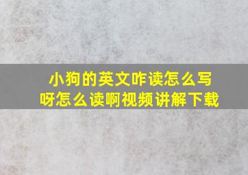 小狗的英文咋读怎么写呀怎么读啊视频讲解下载