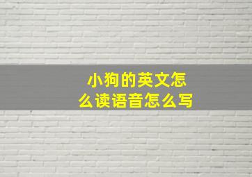 小狗的英文怎么读语音怎么写