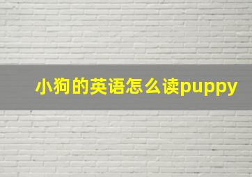 小狗的英语怎么读puppy