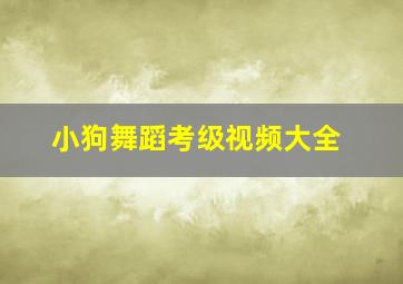 小狗舞蹈考级视频大全