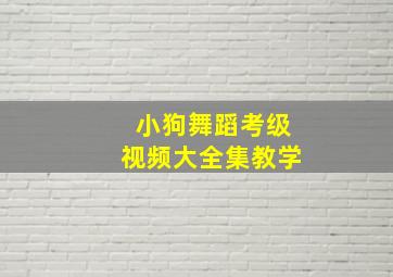 小狗舞蹈考级视频大全集教学