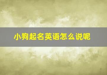 小狗起名英语怎么说呢