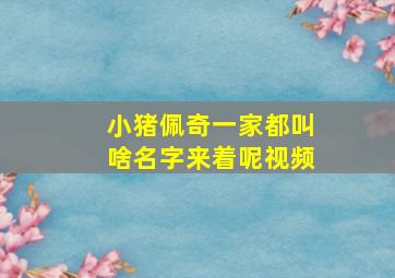 小猪佩奇一家都叫啥名字来着呢视频