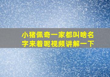 小猪佩奇一家都叫啥名字来着呢视频讲解一下