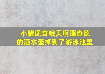 小猪佩奇哦天啊理查德的洒水壶掉到了游泳池里