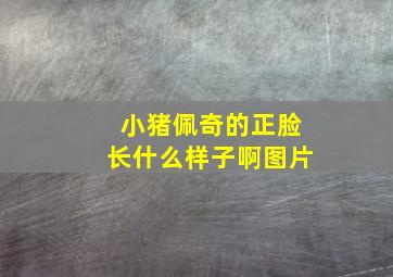 小猪佩奇的正脸长什么样子啊图片