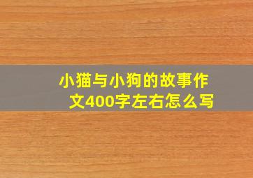 小猫与小狗的故事作文400字左右怎么写