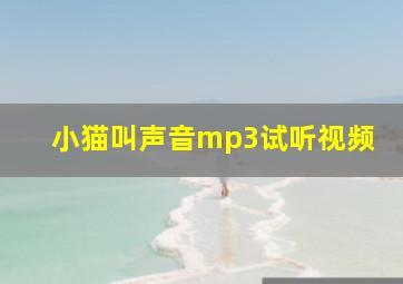 小猫叫声音mp3试听视频