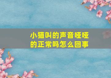 小猫叫的声音哑哑的正常吗怎么回事