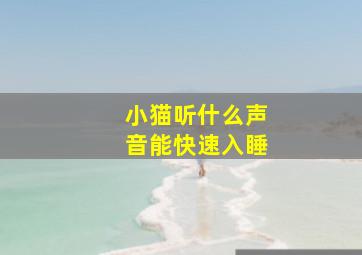 小猫听什么声音能快速入睡