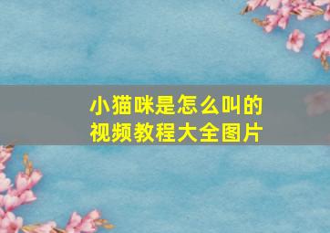 小猫咪是怎么叫的视频教程大全图片