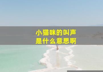 小猫咪的叫声是什么意思啊