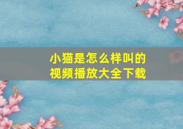 小猫是怎么样叫的视频播放大全下载