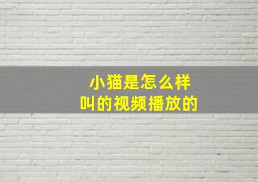 小猫是怎么样叫的视频播放的