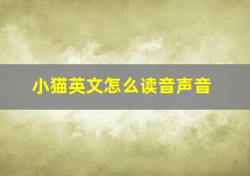 小猫英文怎么读音声音