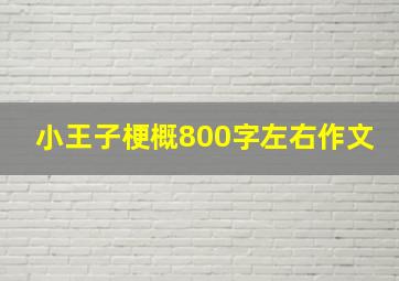 小王子梗概800字左右作文