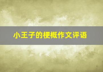 小王子的梗概作文评语