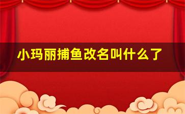 小玛丽捕鱼改名叫什么了