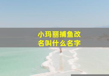 小玛丽捕鱼改名叫什么名字