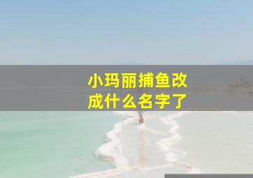 小玛丽捕鱼改成什么名字了