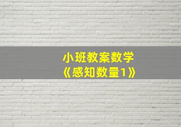 小班教案数学《感知数量1》