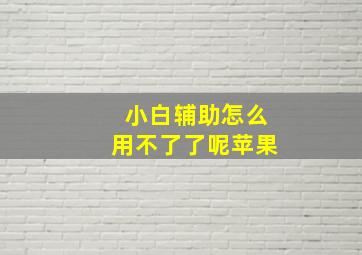 小白辅助怎么用不了了呢苹果