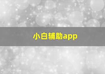 小白辅助app