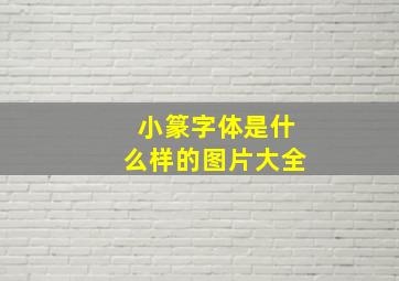 小篆字体是什么样的图片大全