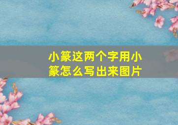 小篆这两个字用小篆怎么写出来图片