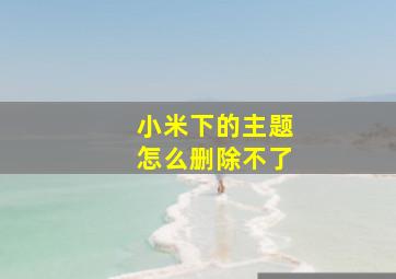 小米下的主题怎么删除不了