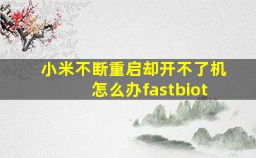 小米不断重启却开不了机怎么办fastbiot