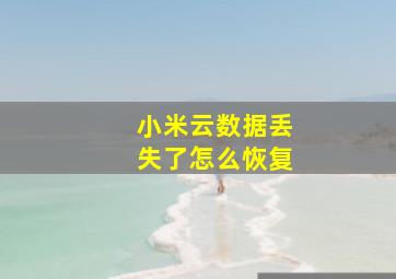 小米云数据丢失了怎么恢复