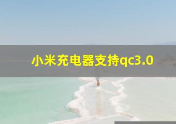 小米充电器支持qc3.0