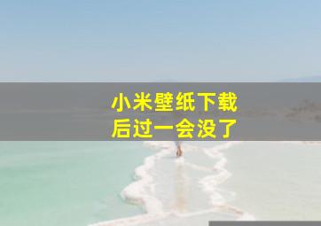 小米壁纸下载后过一会没了