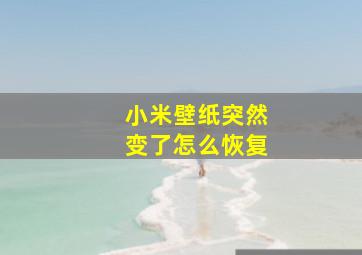 小米壁纸突然变了怎么恢复