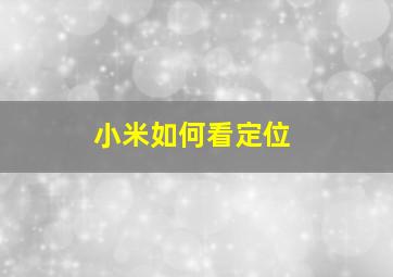 小米如何看定位