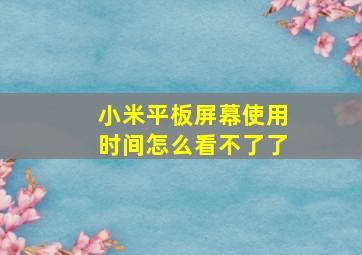 小米平板屏幕使用时间怎么看不了了