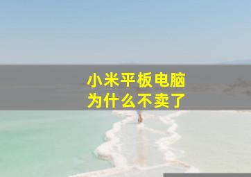 小米平板电脑为什么不卖了