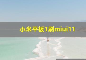 小米平板1刷miui11