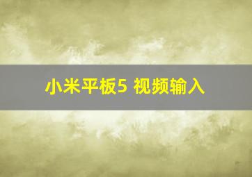 小米平板5 视频输入