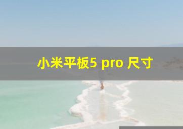 小米平板5 pro 尺寸