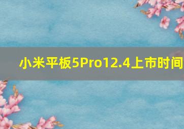 小米平板5Pro12.4上市时间