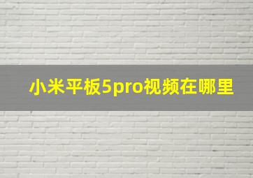 小米平板5pro视频在哪里