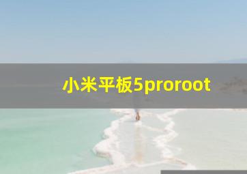 小米平板5proroot