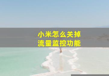 小米怎么关掉流量监控功能